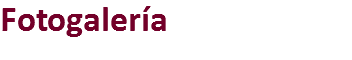 Fotogalería